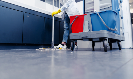 cleaning vinyl floor person mop